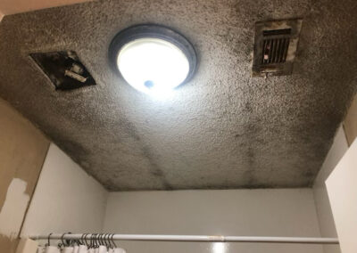 Immaculate Care Painting